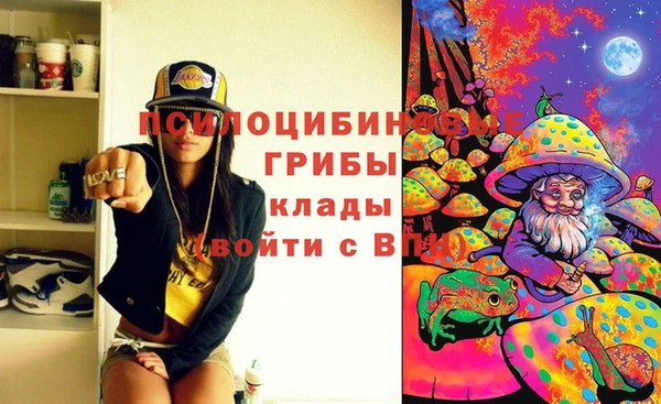 сатива Балабаново