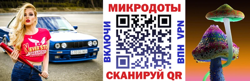 Псилоцибиновые грибы Cubensis  Городовиковск 