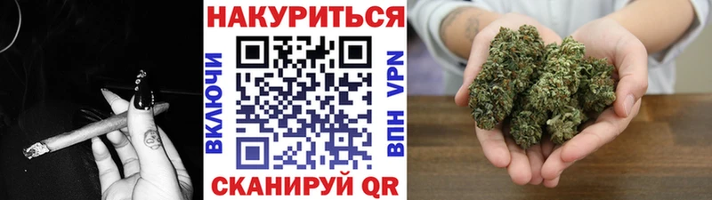 где купить наркотик Городовиковск Канабис гибрид